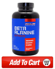 beta alanine supplement